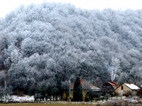 /album/dedestapolcsany-fotok/dsc-0785-jpg/