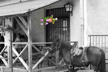 Tapolcsányi Western kocsma