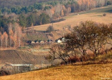 A Gúboly